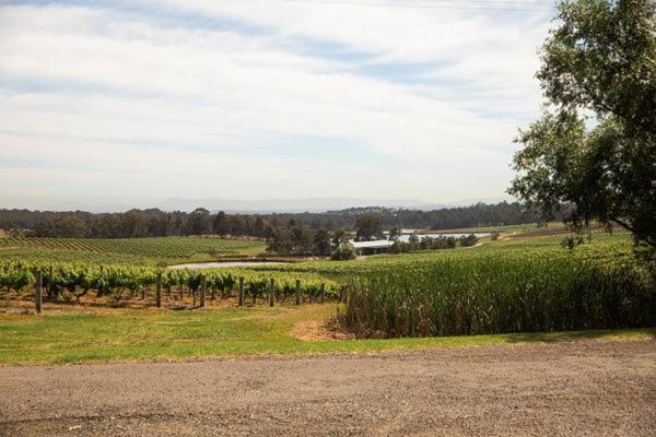 Audrey Wilkinson Vineyard Guest House Pokolbin Ngoại thất bức ảnh